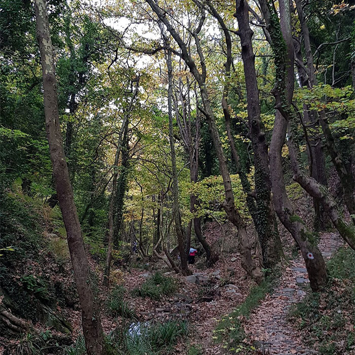 Pelion, Path of the Centaurs