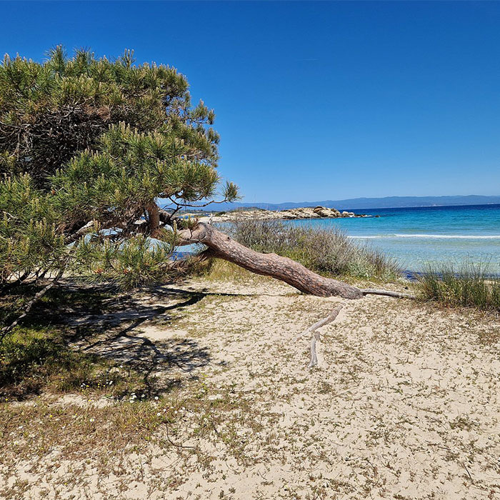 Sithonia, Karydi