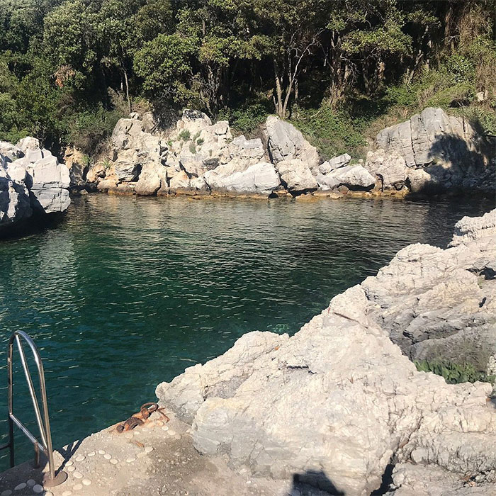 Pelion, Damouchari